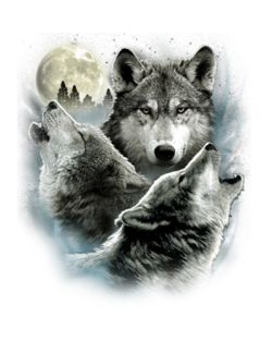 Three Wolves T-Shirt