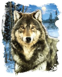 Winter Wolf  T-Shirt