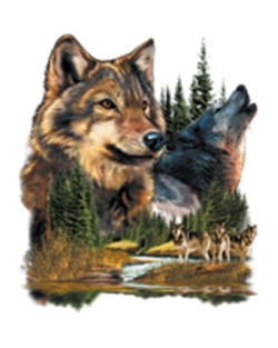 Gray Wolves Door Mat