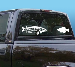 fish decal on truck
