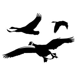 Geese Flyover Wall Decal