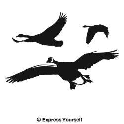 Geese Flyover Decal
