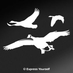 Geese Flyover Decal