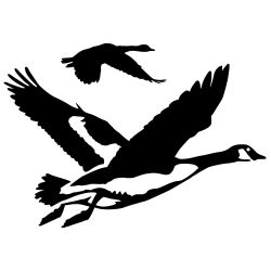 Gathering Geese Wall Decal