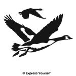 Gathering Geese Decal