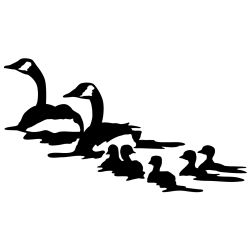 Gaggle of Geese Wall Decal