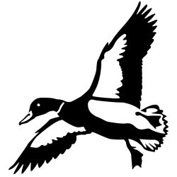 Cupping Mallard Wall Decal