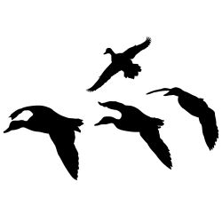 Ducks Jukin 2 Wall Decal