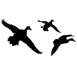 Ducks Jukin 7 Wall Decal