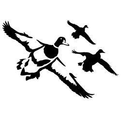 Ducks Jukin 10 Wall Decal