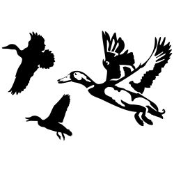 Ducks Jukin 12 Wall Decal