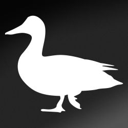 Single Duck Walking Decal