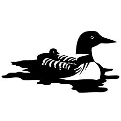 Loon and Chick Wall Decal