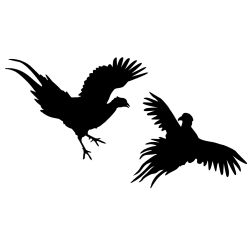 Fighting Pheasants Wall Decal