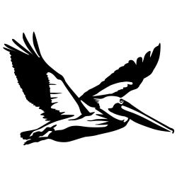 Flying Pelican Wall Decal