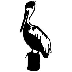 Standing Pelican Wall Decal