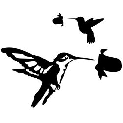 Detailed Hummingbirds Wall Decal