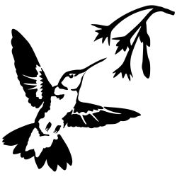 Hummingbird Nectar Wall Decal