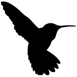 Hummingbird Hover Wall Decal