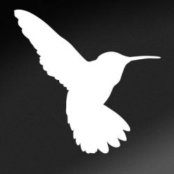 Hummingbird Hover Decal