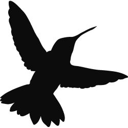 Hummingbird in Flight Wall Decal