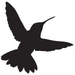 Hummingbird in Flight Wall Decal