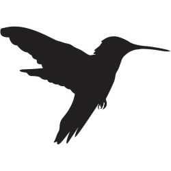 Still Hummingbird Decal