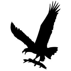 Northern Eagle Wall Decal