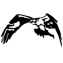 Sea Hawk Eagle Wall Decal