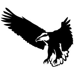 The Eagle is Landing Wall Decal