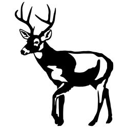 Cautious Buck Wall Decal