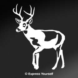 Cautious Buck Decal