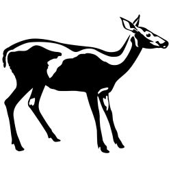 Startled Doe Wall Decal