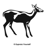 Startled Doe Wall Decal