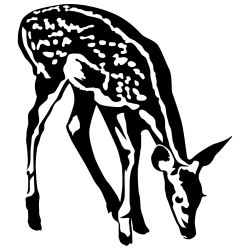 Feeding Fawn Wall Decal