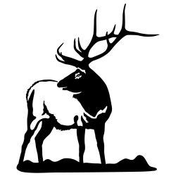 Looking Back Bull Elk Wall Decal