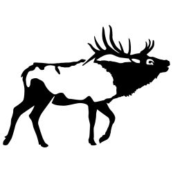 Bull Bugle Elk Wall Decal