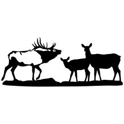 Bull Elk and Gang Wall Decal