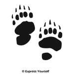 Bear Tracks Wall Decal