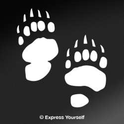 Bear Tracks Decal