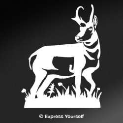 Pronghorn Antelope Detail Decal