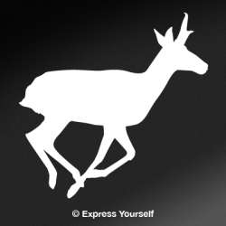 Pronghorn on the Move Decal