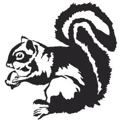 Squirrel with Acorn Decal