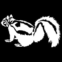 Gray Squirrel Decal