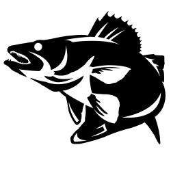 Walleye Striking Wall Decal