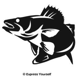 Walleye Striking Decal