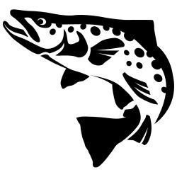 Brown Trout Wall Decal