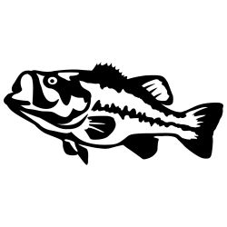 Largemouth Bass Detailed Wall Decal