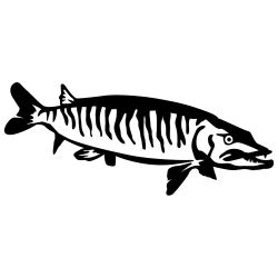 Muskie Wall Decal