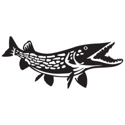 Northern Pike Detailed Wall Decal